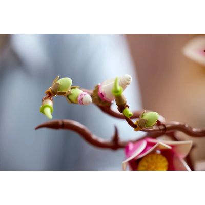 13. LEGO Botanicals 11510 - Magnolienzweige