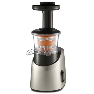 Tefal ZC255B Slow Juicer (200W; silber)