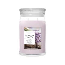 Große Kerze DRIED LAVENDER & OAK YANKEE