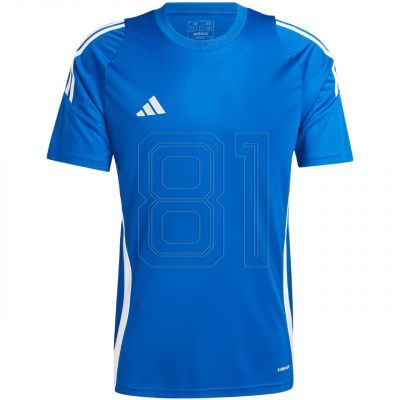 adidas Tiro 24 Trikot M IS1014