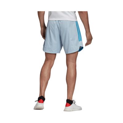4. Adidas Condivo 20 PB M 219 FI4219 Shorts