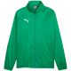 Puma Team Goal Allwetter-Herrenjacke Grün 659038 05