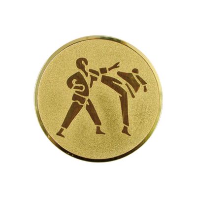 2. Aluminium-Einlage – Karate