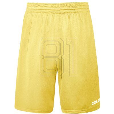 2. Colo Spring 04 Basketballshorts