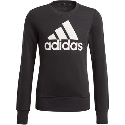 4. Adidas Essentials Big Logo Jr GP0040 Sweatshirt