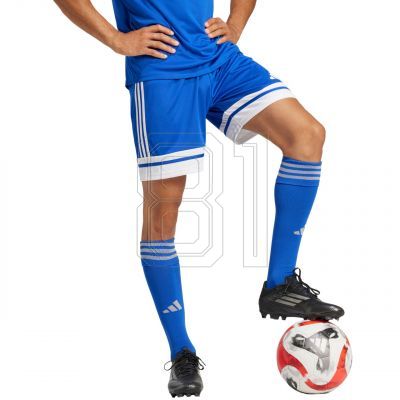adidas Squadra 25 M JH3405 Shorts