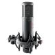 sE Electronics sE2200 Schwarzes Studio-Mikrofon
