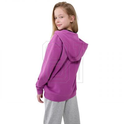 2. Sweatshirt 4F F1853 Jr 4FJWSS25TSWSF1853 50S