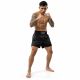 2. Schwarze Muay-Thai-Shorts für Herren V1 COMBATWEAR | DBX Bushido