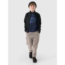 Regular Fleece mit Stehkragen für Jungen 4F Junior 4FJWMM00TFLEM245-20S