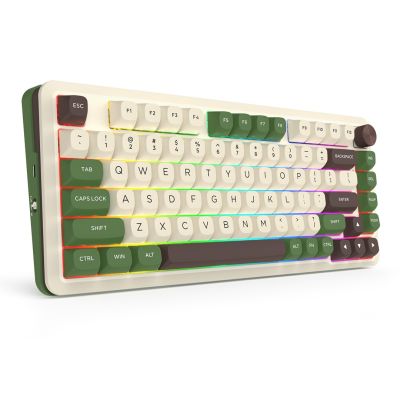 6. REDRAGON K681CGC-RGB-PRO Cyrus Tastatur USB + RF Wireless + Bluetooth Weiß, Grün