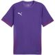 3. Puma teamGoal Spieltagstrikot M 705747 10