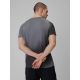 2. Schnelltrocknendes Herren-Trainingsshirt (Standardgröße) 4F 4FRSS26TFTSM2341-24A