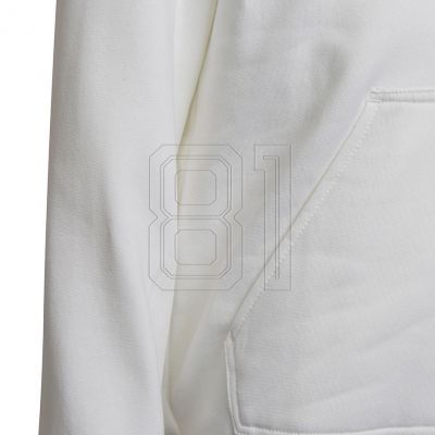 5. Sweatshirt adidas Entrada 22 Hoody Jr HG6303