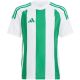 6. adidas Striped 24 Jr T-Shirt IW2138