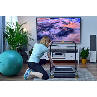 65. Kingsmith WalkingPad TRR1F R1 Sport-Laufband