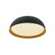 LED-Deckenleuchte SIAN D40 4000K Schwarz