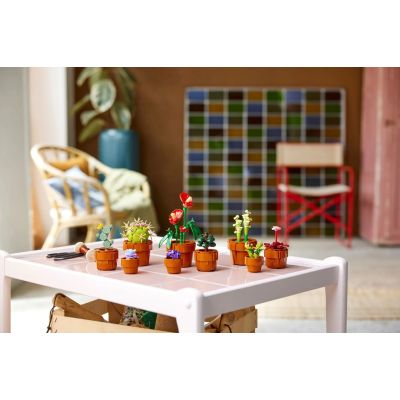 8. LEGO Icons 10329 - Kleine Pflanzen