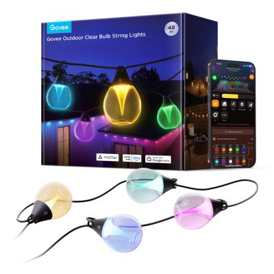2. Govee H7025 RGBICW Lichterkette für den Außenbereich, 14,63 m, 2,4-GHz-WLAN + Bluetooth