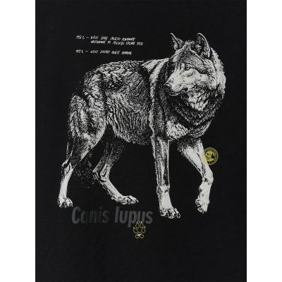 6. Herren-T-Shirt mit Aufdruck, regulär, Größe 4F 4FKAW26TTSHM4500-20S