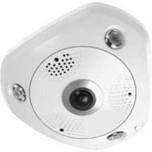 LevelOne IPCam 12MP/H.265/IR/12W/PoE/IP67 Fisheye-Dome-Kamera