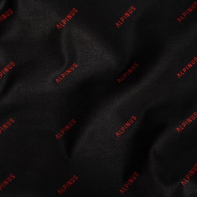 12. Alpinus Kamin Agi Alp Pat 1