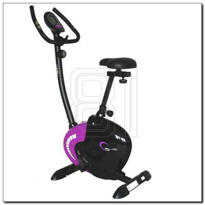 2. Lila Magnetfahrrad HMS M9239V 