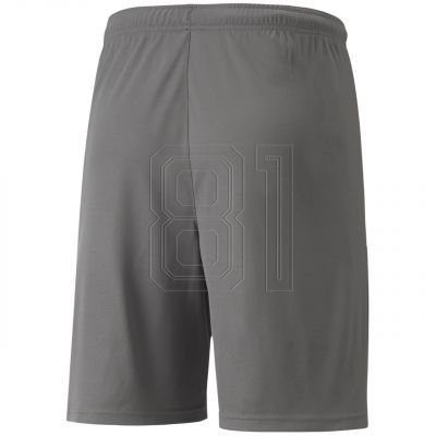 2. Puma teamLIGA M 704924 13 Shorts
