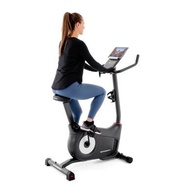 10. Schwinn 510U Programmierbares Fahrrad 100935
