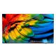 Philips 43HFL6214U 109,2 cm (43") 4K Ultra HD Smart TV Wi-Fi Anthrazit 400 cd/m² Rollbarer Bildschirm