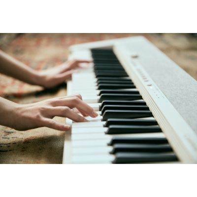 11. CASIO CT-S1 WE – Keyboard
