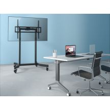 Equip Bodenständerhalterung 55-100"/1TFT 120kg lite Einzelhandel (650632)