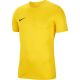 5. Nike Dry Park VII JSY SS M BV6708 719 T-Shirt