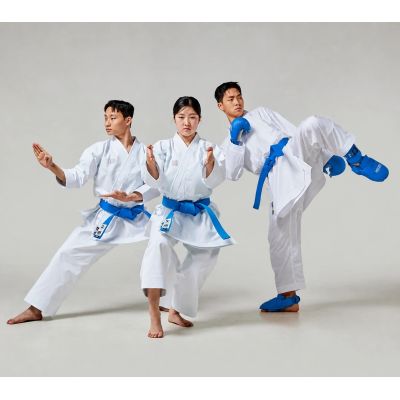 13. Karatehandschuhe - Fäustlinge 2 BLAU WKF | MOOTO