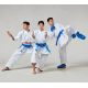 13. Karatehandschuhe - Fäustlinge 2 BLAU WKF | MOOTO