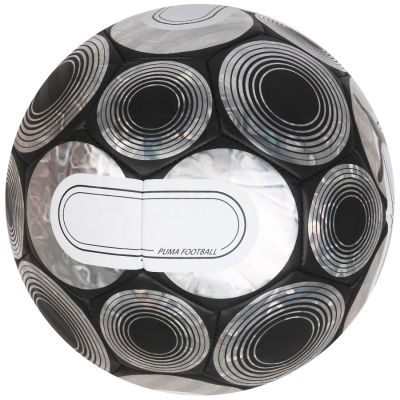 4. Puma Cage Ball 084074-03 Fußball