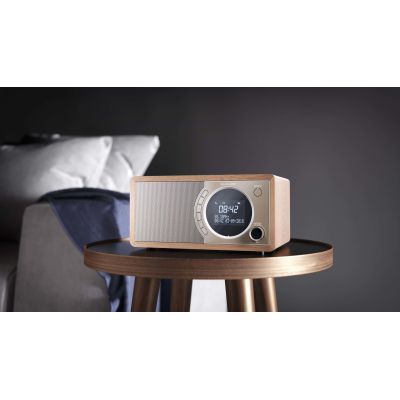 5. Sharp DR-450(BR) Digitalradio mit Bluetooth-Technologie