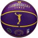 2. Wilson NBA Player Icon LeBron James Outdoor-Ball WZ4027601XB