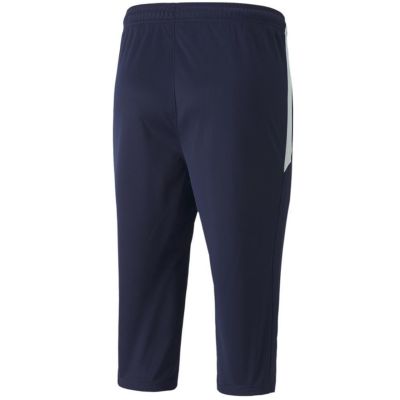 4. Puma teamLiga Training 3/4 Hose M 657271 06