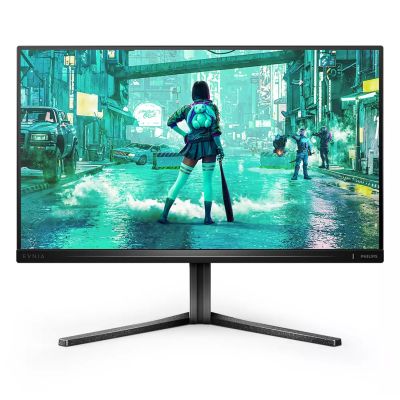 59. Philips Evnia 3000 25M2N3200U/00 Computermonitor 62,2 cm (24,5") 1920 x 1080 px Full HD LCD Grau