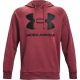 12. Under Armour Rival Fleece Big Logo HD-Sweatshirt M1357093 652