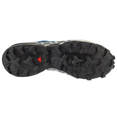 4. Salomon Speedcross 6 GTX L47764900 Blau 41 1/3