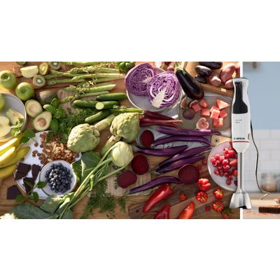 2. BOSCH MSM 4W210 Stabmixer