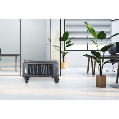 4. MANHATTAN LADESCHRANK FÜR 20-Zoll-LAPTOPS (16" 20" GN)