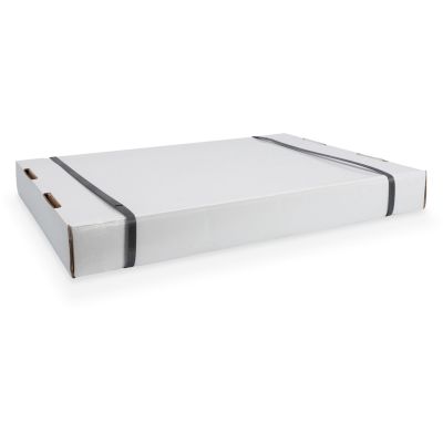 10. Digitus SOHO Wandschrank, unmontiert – 540 x 400 mm (B x T)