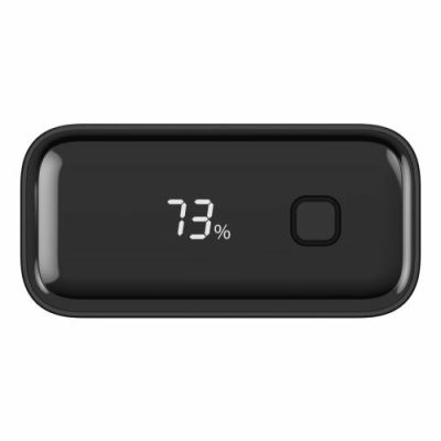 9. Ansmann PB222PD Lithium-Polymer-Akku (LiPo) 20000 mAh Schwarz