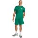 7. Herren-Shorts Nike Club grün FQ4359 365