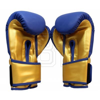 10. Masters Boxhandschuhe RPU-COLOR/GOLD 10 oz 01439-0210