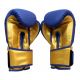 10. Masters Boxhandschuhe RPU-COLOR/GOLD 10 oz 01439-0210