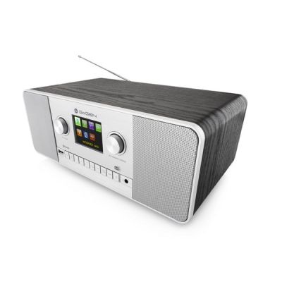 4. GoGen IR 257 BTDAB Digital Internet Silber